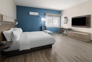 Holiday Inn Express & Suites Leesburg - Historic District by IHG - Leesburg - 4