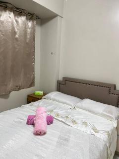 Monarch parksuites 1bedroom with free pool access - Manila - 6