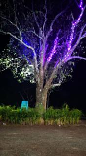 Evergreen resorts - Kutravāda - 1
