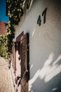 Ferienwohnung Muskateller - Vogtsburg - 8