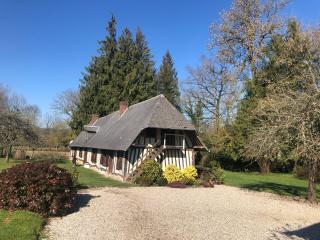 Maison Juliette - Auzouville-sur-Saâne - 8