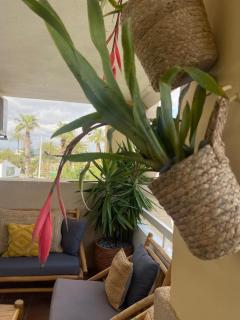 THE BEACH HOUSE PLAYA DEL ARENAL Jávea - Pool and Garden Steps from the beach - Platja de l'Arenal - 5