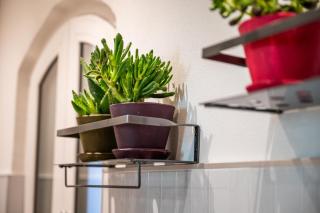 La Regia Apartment - Cuneo - 8