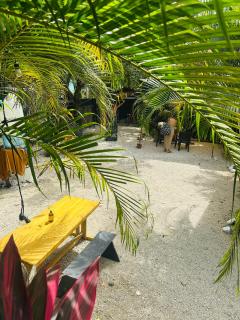 Surf Paradise - Playa Santa Teresa - 8