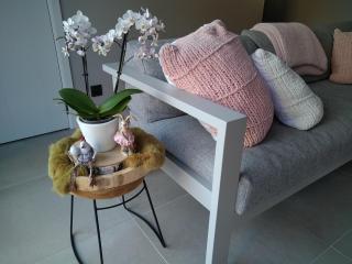 Vakantiewoning Mierzicht - privé wellness - Haspengouw 6p - 2