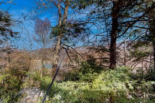Briarcliff - Sugar Mountain - 5