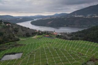 Encanto do Douro Antigo - Raiva - 6