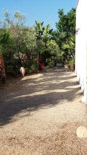 Villa Mortella - Capilungo - 9
