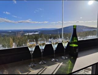 Levi Chalets 1607 Ski-in Ski-out with mountain view and with 2 skipasses - 4