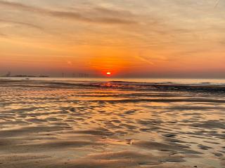 Royal Knokke - Knokke-Heist - 9