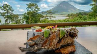 Villas Paradise Arenal Volcano Lake View - 8
