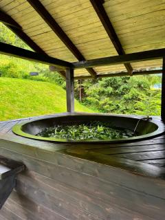 Cottages Shepit Lisu - Rosokhach - 1