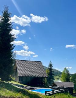 Cottages Shepit Lisu - Rosokhach - 8
