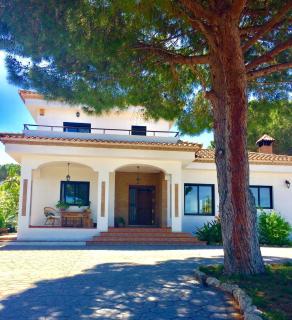 Villa Pinos Malaga with private pool, garden, BBQ - Alhaurín de la Torre - 7