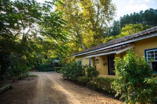 Fazenda Santa Thereza - Itapira - Itapira - 8