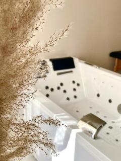 Maison Bien-être Balnéo et Sauna Cosy et Chaleureux - Châlons-en-Champagne - 9