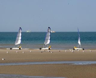 Appartement rénové à 200m de la mer - Merlimont-Plage - 5
