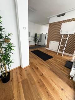 Robin Wood Apartment - Vienne - 8