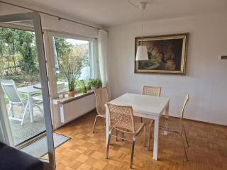 Seeschwalbe - Radolfzell am Bodensee - 7