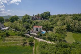 Villa Le Grand Cru - Motovun - 8