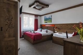 SPA & WELLNESS Penzión Zorhill - Ždiar - 5