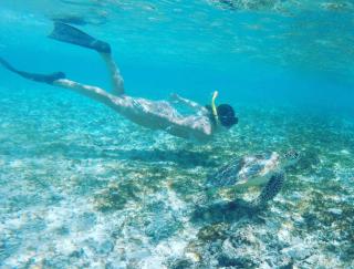 Tropical House Bungalows - Gili Trawangan - 9