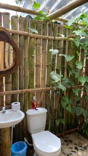 Dacnis tayrona glamping - Santa Marta - 7