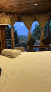 Dacnis tayrona glamping - Santa Marta - 4