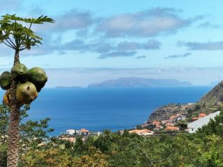 Casa da madeira - Machico - 0