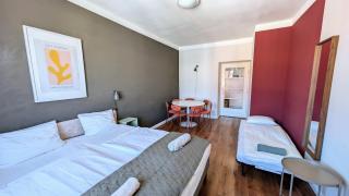 Flat in Zizkov -502- - Praga - 0