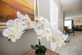 Dazzing 9BR Pool Spa Free Waterpark - Davenport - 3