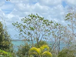 Maison Bacalar - Bacalar - 7