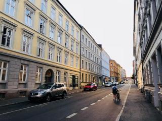 Stylish Grünerløkka penthouse with rooftop terrace - Oslo - 2