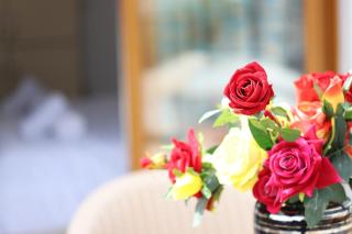 Guesthouse Ijon Berat - Berat - 2
