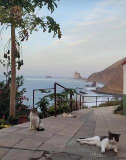 Casa Manolo Paraíso Rural - Almáciga - 0