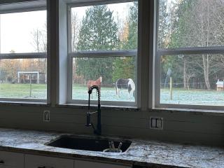 Beautiful inviting homestead, event barn, orchard - Arlington - 1