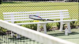Secluded Acerage With Floodlit Tennis and Basketball Courts, Pool, Firepit and Beautiful Homestead - Wamberal - 6