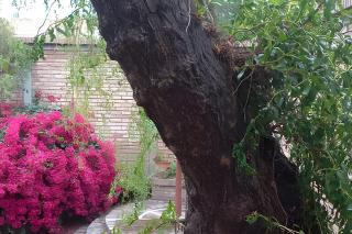 El Diván Apartamento, Dúplex de diseño, cochera, inmejorable Ubicación - 3