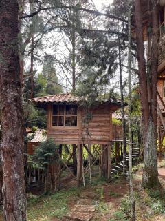 Eco Hotel Nigüíto - Medellín - 6