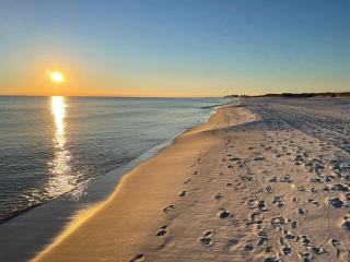 On 30A New 1BR Apt. w KING 10min walk to beach - 4