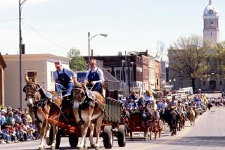 Cozy 2BR Apt w KING in historic dist. 1mi to sq. - 3