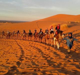 Adrar desert camp - 6