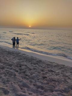 شقه فندقيه بزهراء العجمي الهانوفيل - Alexandria - 1