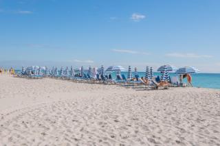 Beautiful Studio in Hallandale with Beach & Pool - 2