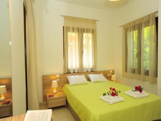 Diamond Villa with swimming pool - Pigianos Kampos - 4