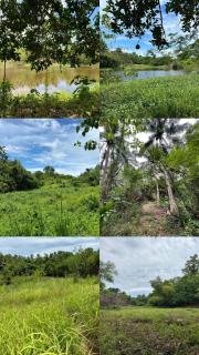 Bulo Cottage & Garden - Allacapan - 4