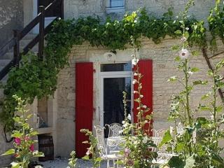 Gîte familial avec jardin privatif, plancha et jeux, proche de La Rochelle - FR-1-426-263 - Sainte-Gemme-la-Plaine - 9