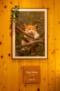 스테이 포즈 서울 Stay Pause- Serene Loft Retreat in Seoul - 4