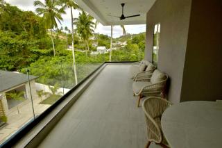 Best Friends Hoyo Cacao - 3