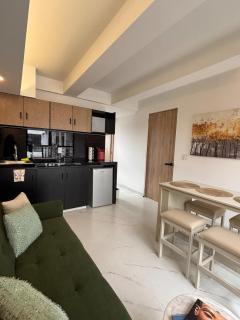 Centrico Departamento enla Roma - Ciudad de México - 0